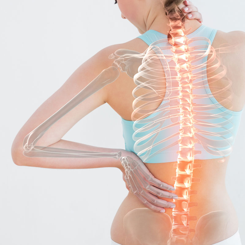 Full-spine adjustments