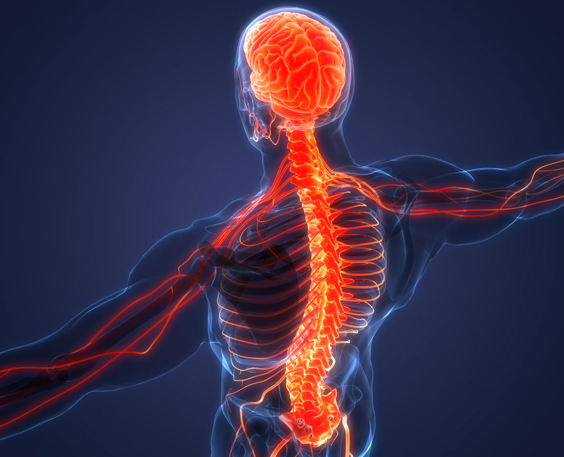 Glowing nerve illustration